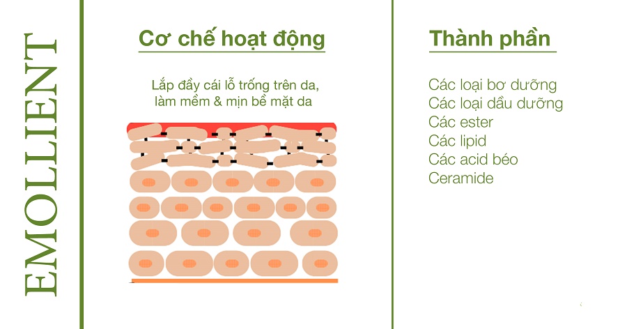 Vì sao da cần được cấp ẩm mỗi ngày 1